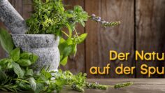 Natur auf der Spur Titelbild