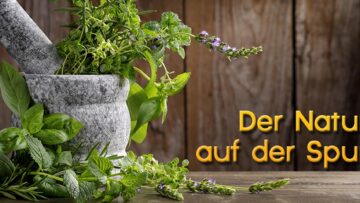 Natur auf der Spur Titelbild