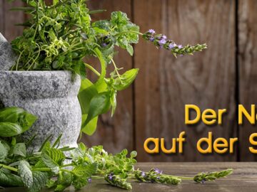 Natur auf der Spur Titelbild