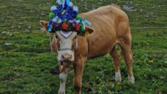 305932621_10217823307854007_6526580054880207286_n