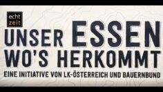 [ID: bD7padPBAkw] Youtube Automatic