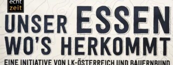 [ID: bD7padPBAkw] Youtube Automatic