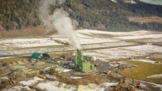 [ID: TB1W99-VYBg] Youtube Automatic