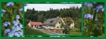 Dorfwirt „Häuserl im Wald“