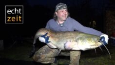 [ID: 0bzfgIp_rZw] Youtube Automatic