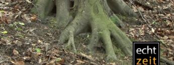 [ID: 1b9yHobVJS4] Youtube Automatic