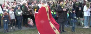 [ID: 2ucB6KIQZrU] Youtube Automatic