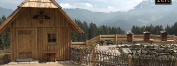 [ID: 49BNJVmZNmo] Youtube Automatic