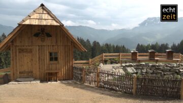 [ID: 49BNJVmZNmo] Youtube Automatic