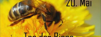 [ID: 5DZ8jntuPiw] Youtube Automatic