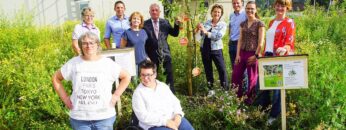 [ID: 87Z4n7yc5h4] Youtube Automatic