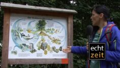 [ID: IMDvjka2Src] Youtube Automatic