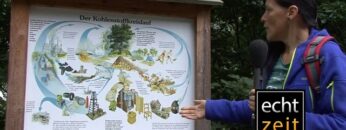 [ID: IMDvjka2Src] Youtube Automatic