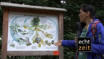 [ID: IMDvjka2Src] Youtube Automatic