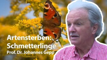 [ID: _jyLaFDUAsY] Youtube Automatic