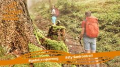 [ID: mph100YxcWA] Youtube Automatic