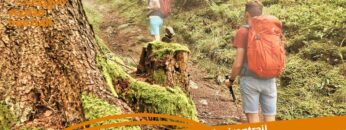 [ID: mph100YxcWA] Youtube Automatic