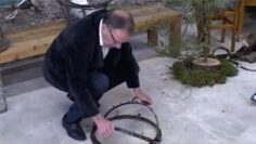 [ID: p1vdP-gfM3g] Youtube Automatic