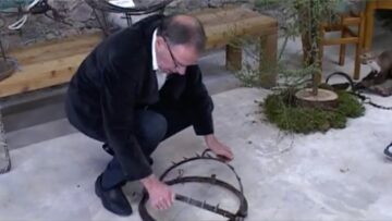 [ID: p1vdP-gfM3g] Youtube Automatic