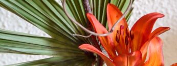 [ID: QJDC3tuShPY] Youtube Automatic