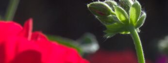 [ID: qSD5HUt-xtw] Youtube Automatic