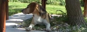 [ID: UA7XAJq7DEQ] Youtube Automatic