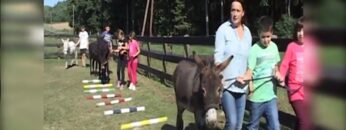 [ID: Uivhse0eq4o] Youtube Automatic