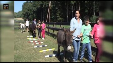 [ID: Uivhse0eq4o] Youtube Automatic