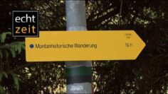 [ID: v6rMVDHCikU] Youtube Automatic