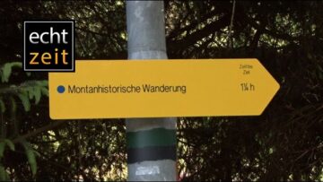 [ID: v6rMVDHCikU] Youtube Automatic