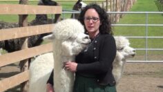 [ID: WCBHbuGeIog] Youtube Automatic