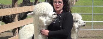 [ID: WCBHbuGeIog] Youtube Automatic