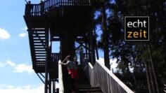 [ID: ZnGik0bevVA] Youtube Automatic