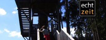 [ID: ZnGik0bevVA] Youtube Automatic