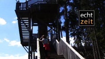 [ID: ZnGik0bevVA] Youtube Automatic