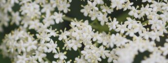 Privat: [ID: FgvmwU8P0UM] Youtube Automatic