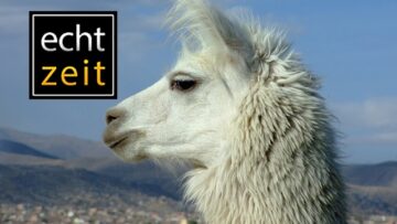 Privat: [ID: HTTudeBelHQ] Youtube Automatic