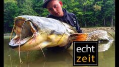 Privat: [ID: MemkrEPJcdg] Youtube Automatic