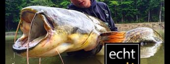 Privat: [ID: MemkrEPJcdg] Youtube Automatic