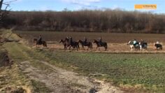 Privat: [ID: tF8EUvKQTDQ] Youtube Automatic