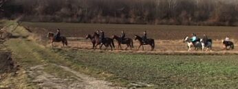 Privat: [ID: tF8EUvKQTDQ] Youtube Automatic