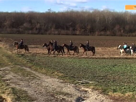 Privat: [ID: tF8EUvKQTDQ] Youtube Automatic