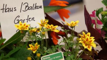 Blühende und Summende Steiermark mit Blumenschmuckprämierung