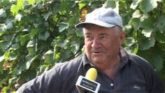 [ID: 1FWhJjNt8p0] Youtube Automatic