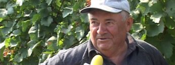 [ID: 1FWhJjNt8p0] Youtube Automatic