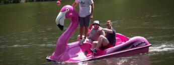 [ID: B5ZFkGCB95E] Youtube Automatic