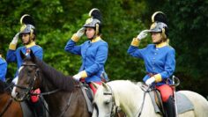 [ID: ccwcCcbyjZU] Youtube Automatic