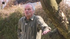 [ID: D3WptwPqpUM] Youtube Automatic