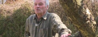 [ID: D3WptwPqpUM] Youtube Automatic