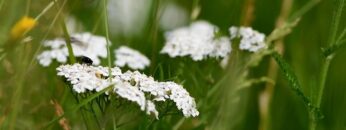 [ID: dg9jy_Gn1X8] Youtube Automatic